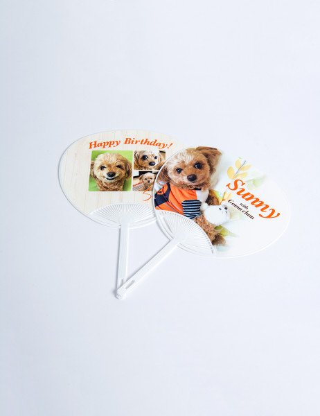 memory_fan
