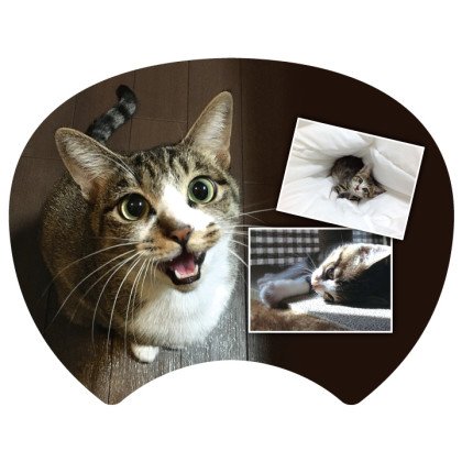 写真うちわ